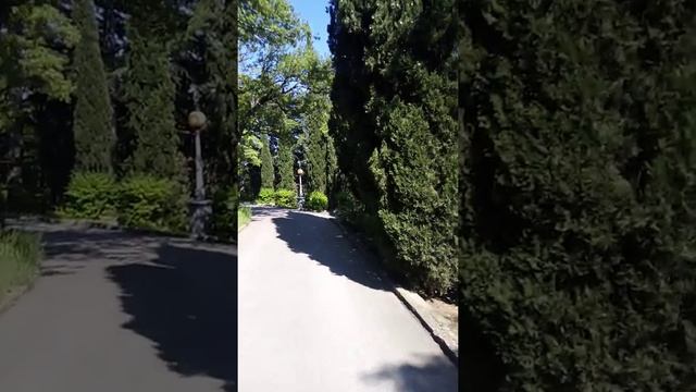 Парк "Харакс". Западная часть часть парка смотреть онлайн