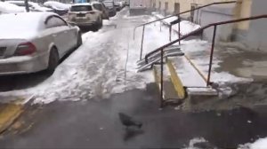 Тест универсальных ключей с ElID (E1 Market)