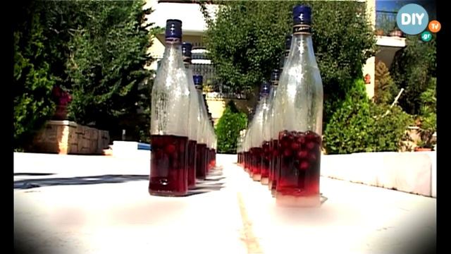 Βύσσινο λικέρ @ www.diytv.gr смотреть онлайн