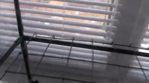 Собираю МИНИ ПАРНИК на подоконнике с Валберис, ?? сажаю ЛУК и ЗЕЛЕНЬ