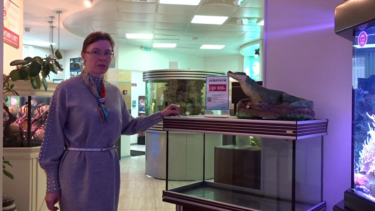 Аквариум Anubias B-850F смотреть онлайн