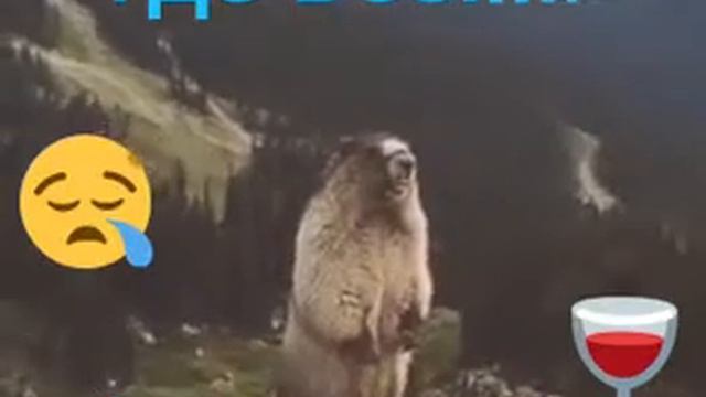 Чува смотреть онлайн