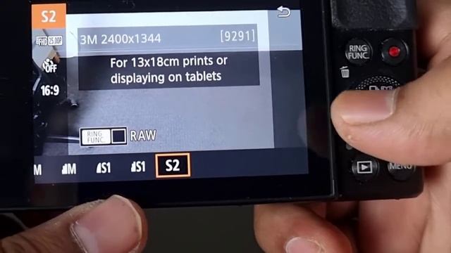 Canon G7X Mark II Picture size or resolution setting | Large, Small, Raw photo смотреть онлайн