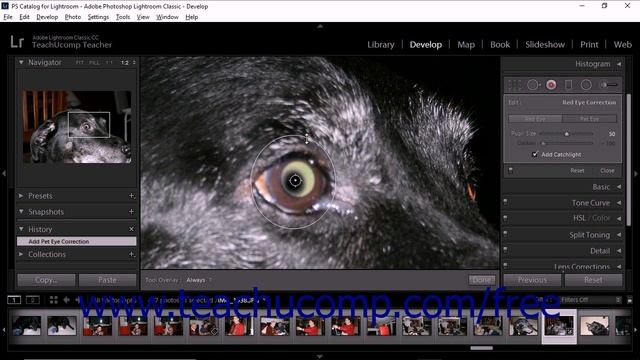 Lightroom Classic CC Tutorial Fixing Red Eye and Pet Eye Adobe Training смотреть онлайн