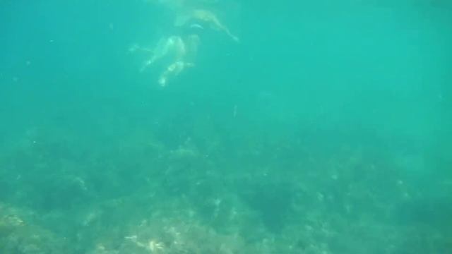 Чистота воды на пляже отеля Ripario Hotel Group 2019 смотреть онлайн