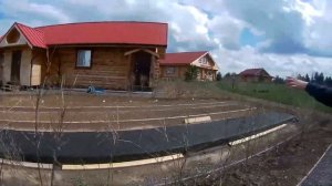 Кустарники для живой изгороди / Барбарис Тунберга - лучшая живая изгородь на даче!