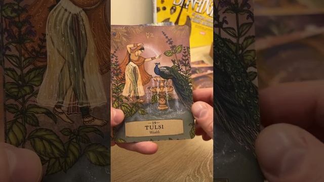 Herbal Astrology Oracle Cards review with Brujo Ryan смотреть онлайн