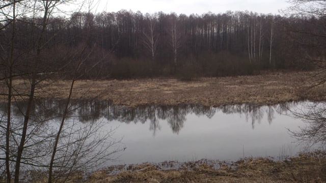 Почему ДОБРО, мы воспринимаем как СЛАБОСТЬ смотреть онлайн