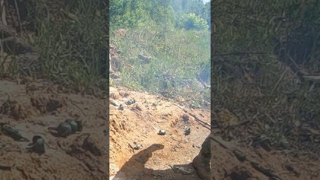 Граната мина-растяжка A2Tech «МС-1» Г4 (горох) смотреть онлайн