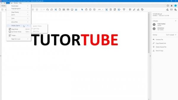 Adobe Acrobat Reader Tutorial - Lesson 44 - Display Theme