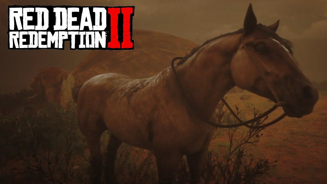 РЕДКАЯ лошадь из Нью Остина в Red Dead Redemption 2 | Мустанг Тигровая Гнедая смотреть онлайн