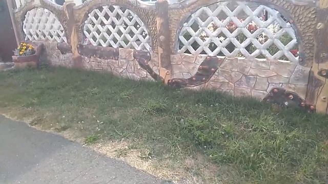 Оформление фасада дома, декоративная штукатурка,забор из арт бетона ,работа Николай Лысковец. смотреть онлайн