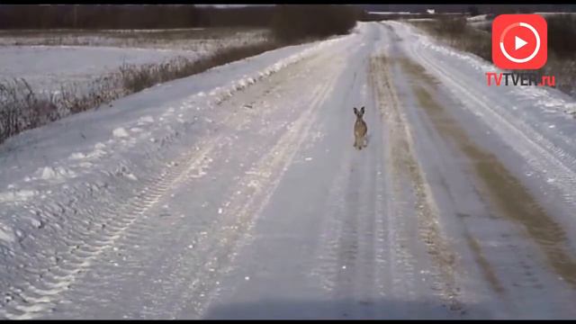 ЗИМА ВСЕ-ТАКИ БУДЕТ! НО ПОСТЕПЕННО. 2018-01-09 смотреть онлайн