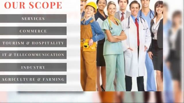 Dontworry Company Profile смотреть онлайн