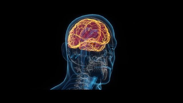 Aşk Nedir? Neden Aşık Oluruz? | Aşkın Tarihi ve Bilimi смотреть онлайн