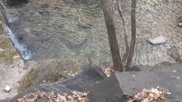 ASMR (SUB) A tranquil walk( 조용한 산책♡) смотреть онлайн