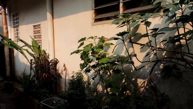 tes video kamera nikon coolpix p510 FHD смотреть онлайн