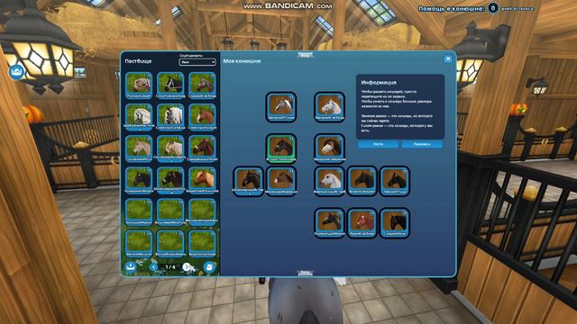 Покупка Лаверны | Хеллоуин 2022 | Star Stable Online смотреть онлайн