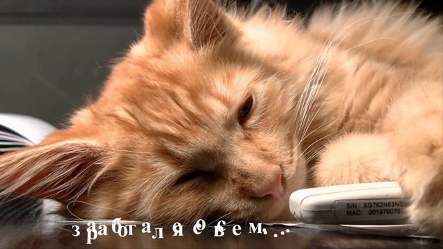 Пожелание спокойной ночи смотреть онлайн