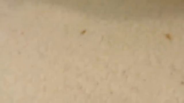 How To Reset The BIOS PASSWORD - ADMINISTRATOR PASSWORD - POWER ON PASSWORD On Any Laptop For Free.