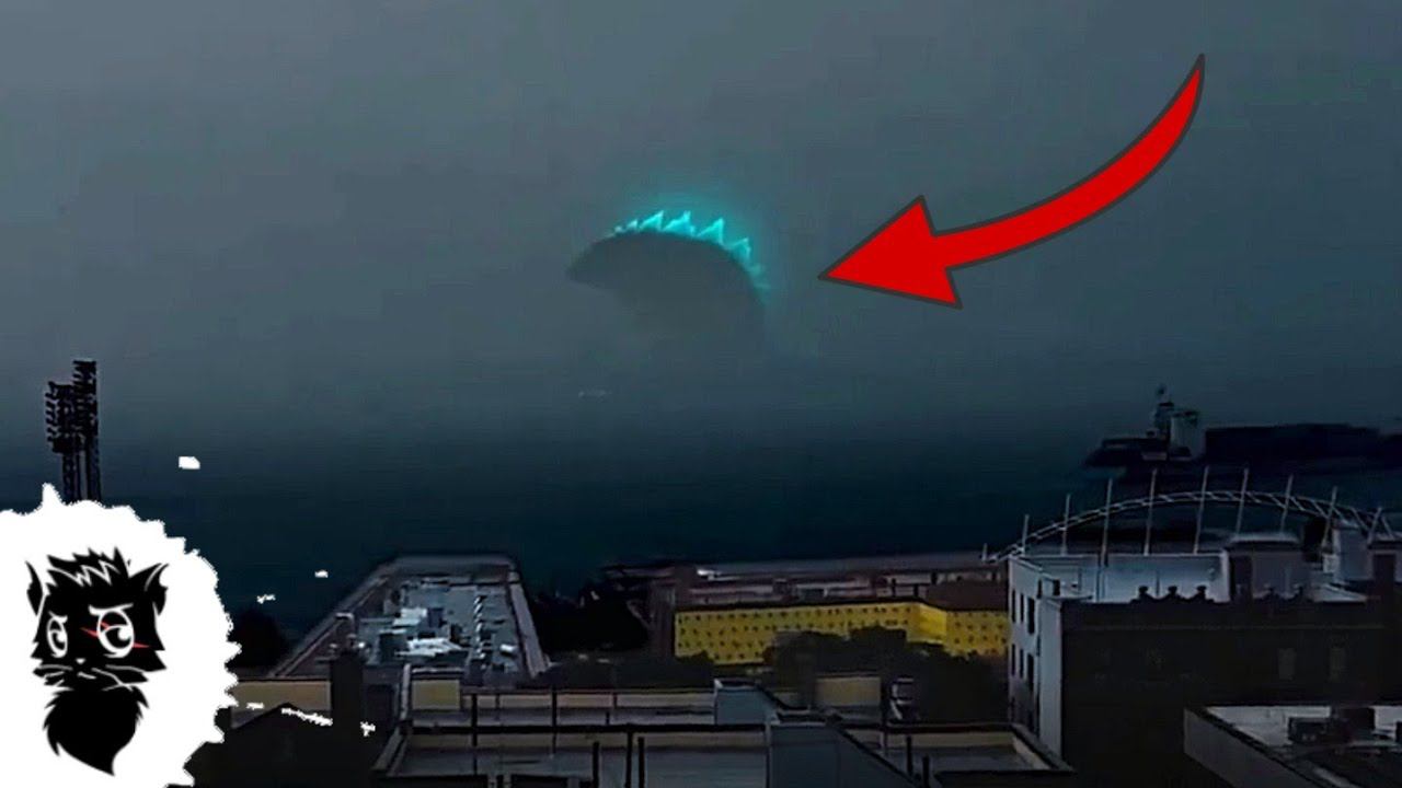 5 ГИГАНТСКИХ МОНСТРОВ СНЯТЫХ НА КАМЕРУ НЕ ЗНАЮ КАКАЯ ЧАСТЬ 2 [Черный кот] смотреть онлайн