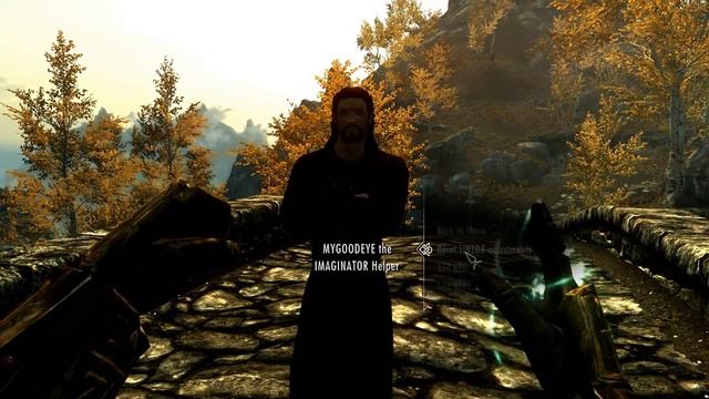 Skyrim Mod Spotlight: IMAGINATOR - Visual Control Device for Skyrim смотреть онлайн