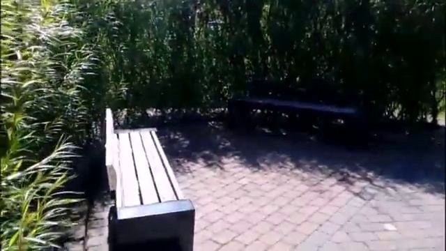 Арка садовая смотреть онлайн