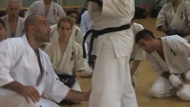 Sensei Artur Hovannisian - Kumite combination #1 смотреть онлайн