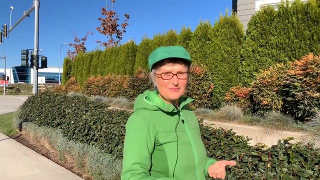 КТО И ЗАЧЕМ ДУМАЕТ О ВАС. КОГО ВОЛНУЕТ НАША ЖИЗНЬ. ЗАЧЕМ НАМ ДУМАТЬ О ДРУГИХ ЛЮДЯХ. КОЛЕНА смотреть онлайн