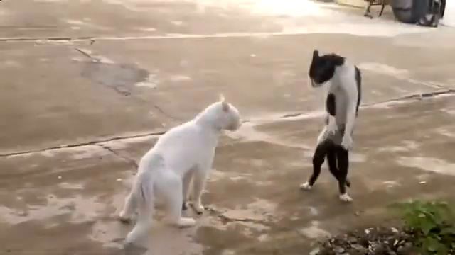 купить ручку смотреть онлайн