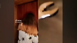 сборник шортс Таня яста