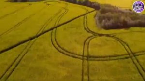 Ты Иисус Сын Живого Бога - А. Кочкин,  Христианское караоке,  прославление