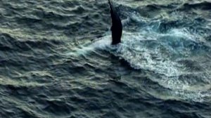 Девятый отсек