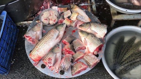 Павел Кашин - Ватерлоо