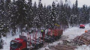 Работа лесовозов в Архангельской области U-Company
