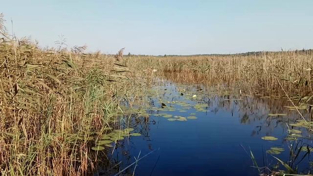 Мелешковичи.mp4