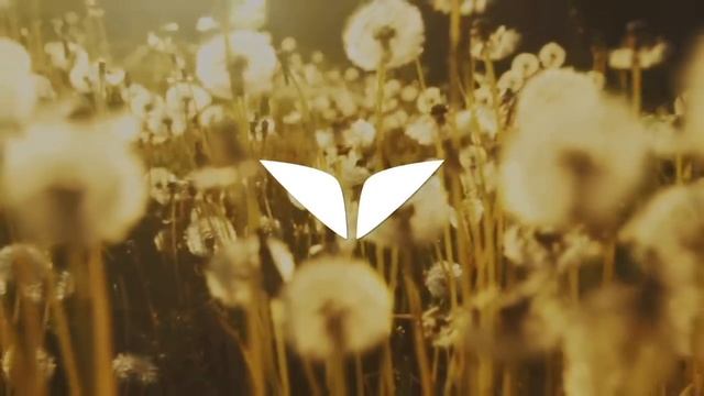 40 Minute Relaxation Music To Boost Positivity, Clear Blocks & Calm The Mind | Mindvalley Meditatio