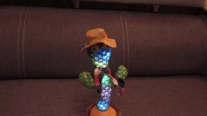 ТанцуЮщий говорЯщий кактУс Обзор