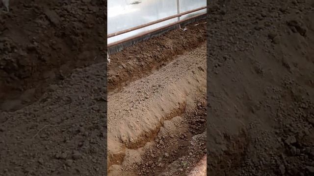 14 декабря 2022 г. смотреть онлайн