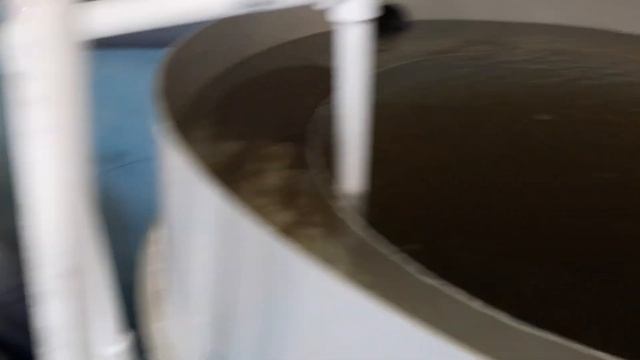 песочный биофильтр для узв смотреть онлайн