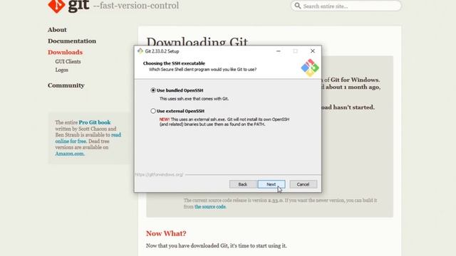 How to install Git on Windows 10 | | Hasib | Cyber Solutions | 2022 смотреть онлайн