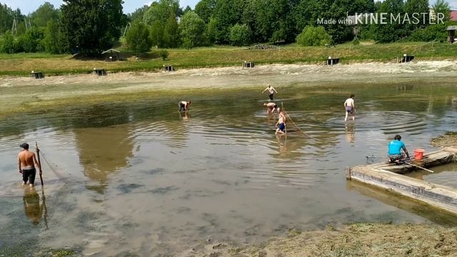 Спустили платный пруд ? Море рыбы смотреть онлайн