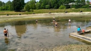 Спустили платный пруд ? Море рыбы