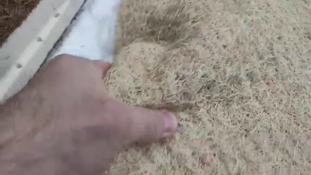Нюансы при выборе матраса с кокосовой койрой. Сизаль и кокосовая койра в чем разница. смотреть онлайн