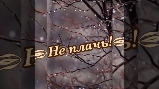 "Не плачь" песня.@zloyosa смотреть онлайн
