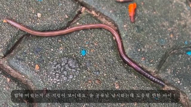 가계부 브이로그 한달살기 준비 행복의 가치 ㅣ 해킹사건 후 달라진점 ㅣ두부죽만들기ㅣ두부국끓이기 смотреть онлайн