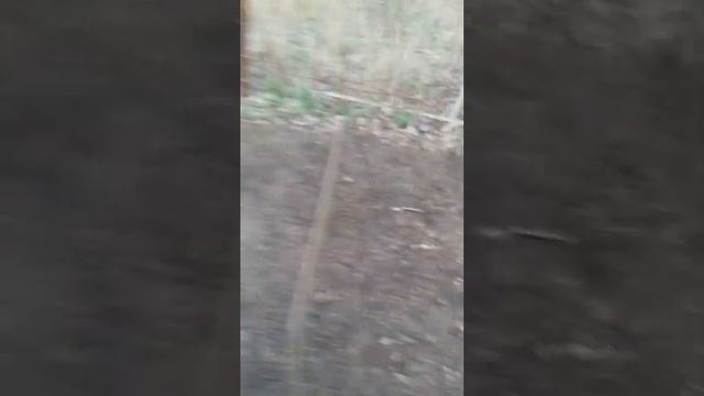 Посадка Тыквы, Редиса и Репы смотреть онлайн