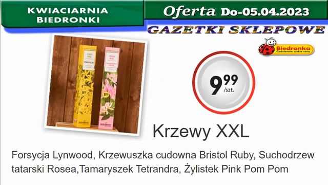 Biedronka | Kwiaciarnia Biedronki Nowa Oferta Od 03.04.2023 | Kwiatowe Inspiracje Biedronki смотреть онлайн
