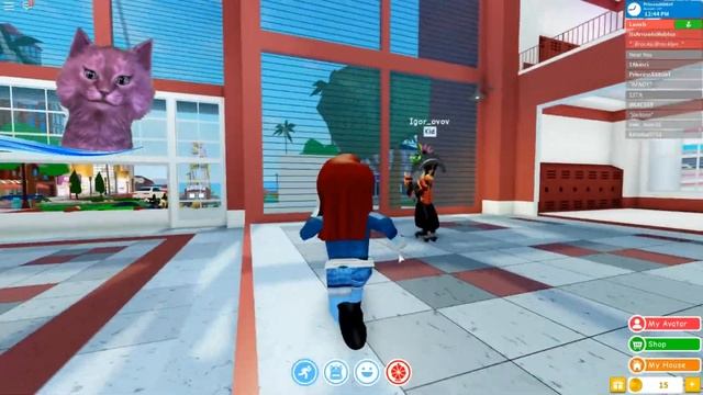 УРА БАЛДЕЕМ КАНИКУЛЫ С ГОВОРЯЩИМ КОТЕНКОМ АБИ ► Robloxian Highschool ► ИГРА для ДЕТЕЙ ◄ РОБЛОКС смотреть онлайн