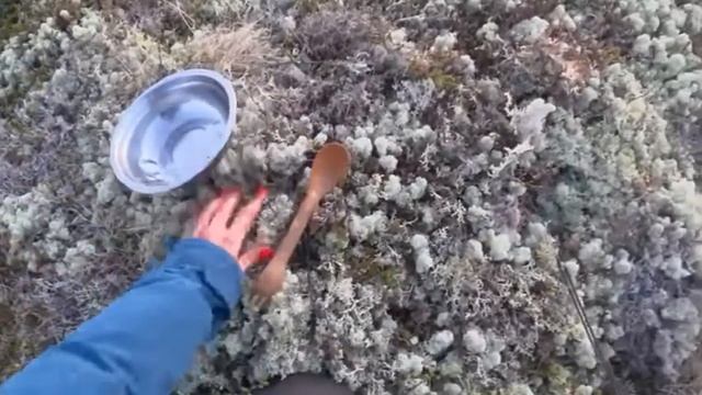 Как помыть посуду в тундре без воды. Малиновская смотреть онлайн